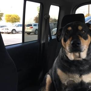 Meet your Posher, Jan